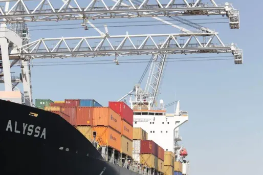 Les dockeurs français s'inquiètent des pesticides pulvérisés dans les conteneurs