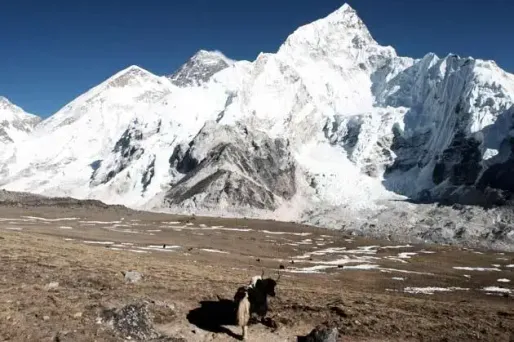 Elle gravit deux fois l'Everest en 7 jours