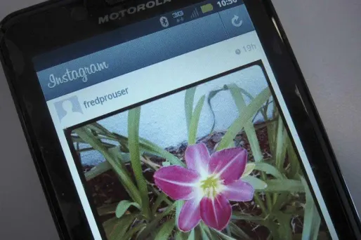 Instagram est-il en perte de vitesse ?