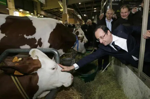 Hollande veut "un étiquetage obligatoire"