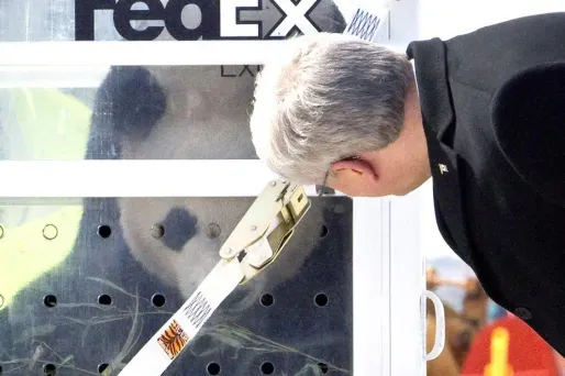 Le Premier ministre Stephen Harper a fait le déplacement pour accueillir les deux pandas.