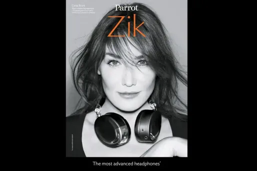 François Hollande est-il le pingouin cuistre chanté par Carla Bruni-Sarkozy ?