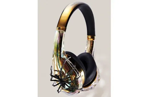 Outre son prix particulièrement élevé, le design de ce casque ne le rend pas accessible à tous.