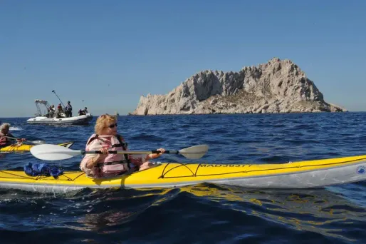 Patrimoine : le vide-grenier des politiques