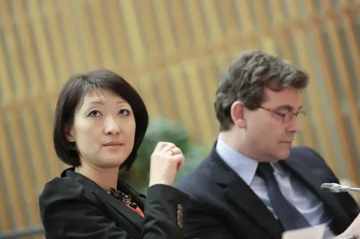 Dailymotion : Pellerin ne blâme pas mais...