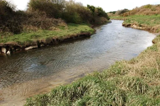 La France néglige la pollution des eaux