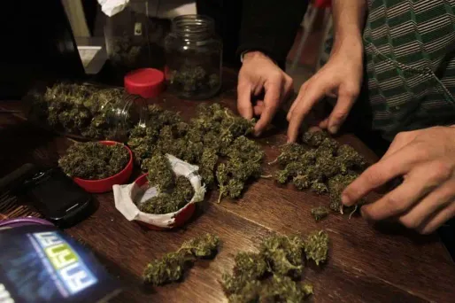 Il doit payer des impôts sur du cannabis saisi