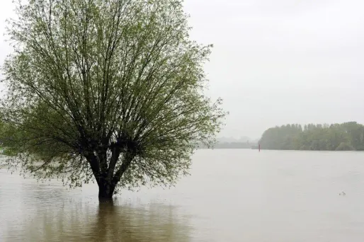 Inondations (photo d'illustration).