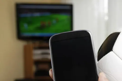 Un internaute sur cinq a déjà pratiqué la social TV en France.