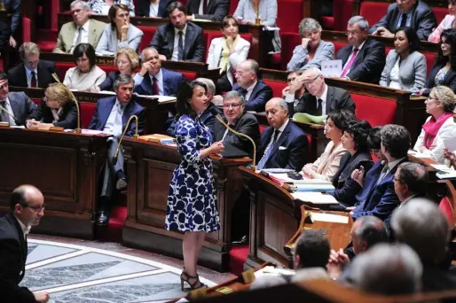 Pour Patrick Balkany, si Cécile Duflot a mis une robe à fleurs, c'est pour que les députés n'écoutent pas ce qu'elle a à dire.