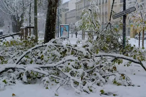 Il donne la neige de son jardin sur Le bon coin