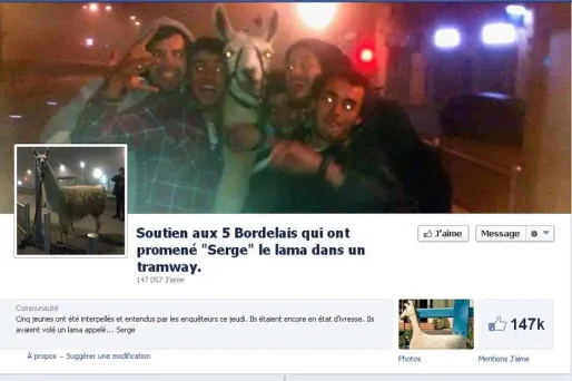 Facebook : page de soutien aux Bordelais qui ont promené un lama