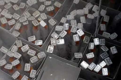 Des échantillons anonymes de sperme.