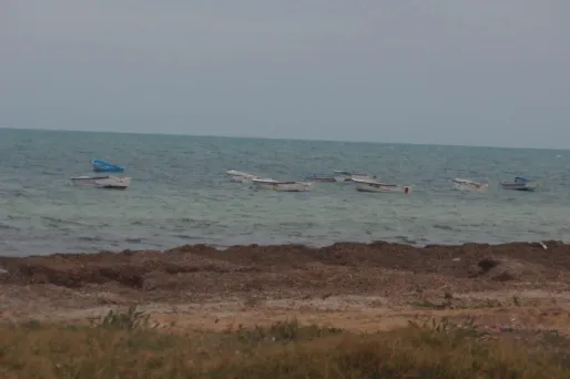 Des dizaines de corps ont été retrouvés près de Lampedusa, en Sicile.