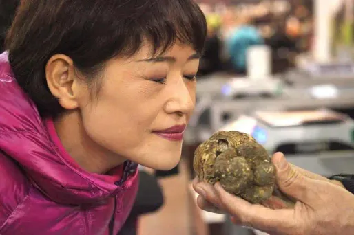 11 truffes blanches vendues à 274.200 euros