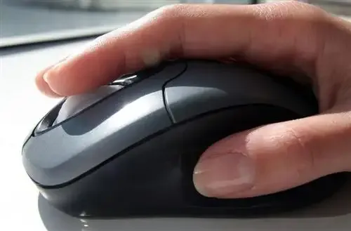 Cinéma: la justice frappe un grand coup contre les sites de "streaming" illégaux !