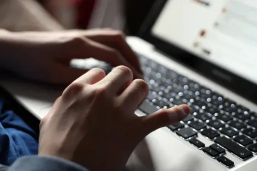 Attention aux arnaques sur le web en période d'inscription sur des listes électorales.