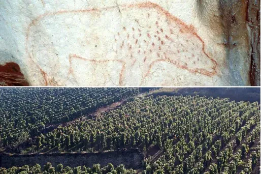 La grotte Chauvet et les "Climats du vignoble de Bourgogne" seront proposés au patrimoine mondial.