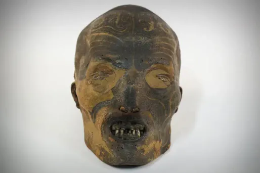 Les têtes maories rentrent au pays