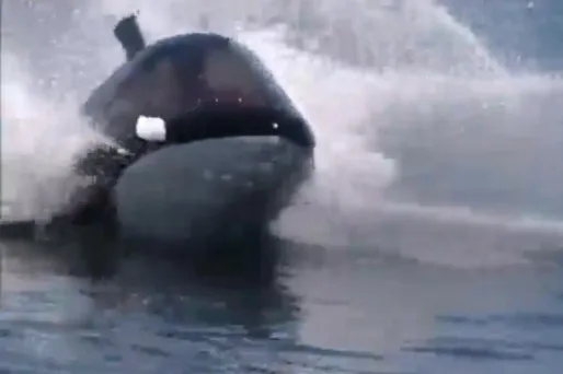 Le sous-marin du professeur Tournesol existe