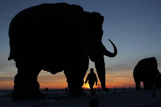 Des scientifiques veulent recréer le mammouth