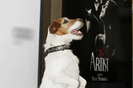 Le chien de The Artist va publier un livre