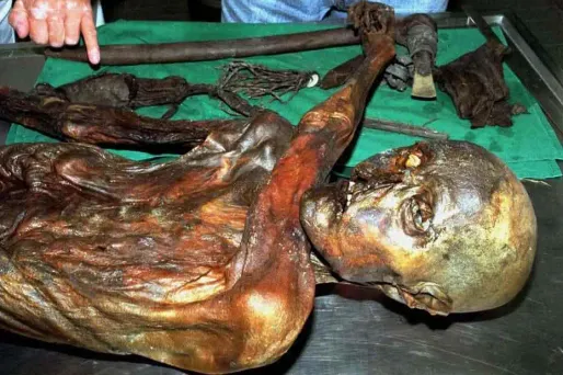 Le corps momifié d'Ötzi a été découvert en 1991 dans un glacier alpin.