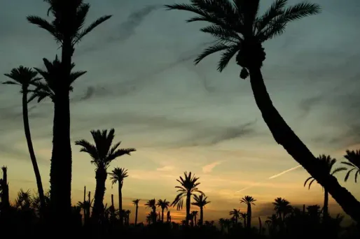 Maroc : un Français jugé pour pédophilie