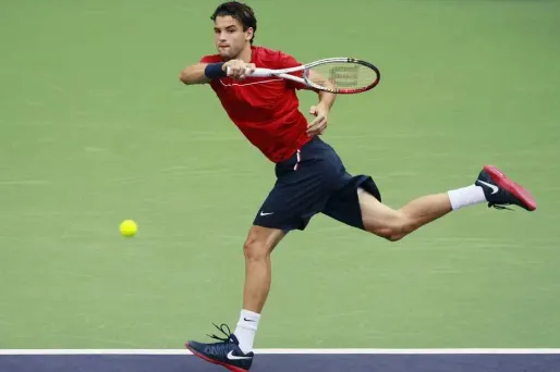 Dimitrov réussit le point de l'année