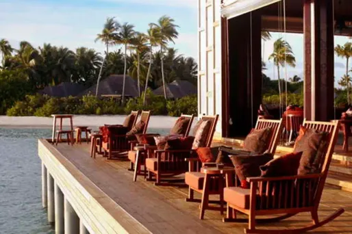 Un café issu de... crotte d'éléphant