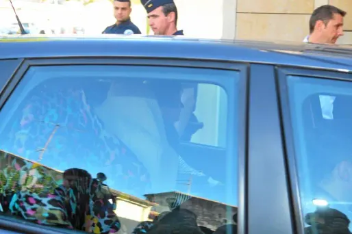 Hand : les frères Karabatic et les autres