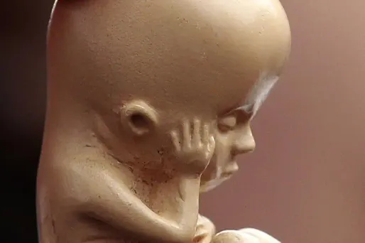 Japon : un foetus en 3D en souvenir