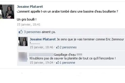 Une candidate UMP aux cantonales en Ardèche a posté de nombreuses blagues racistes sur son profil Facebook.