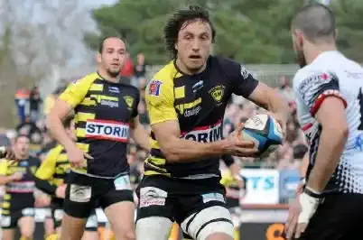 Albi, tête de vainqueur