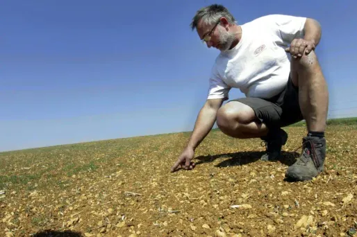 Confrontés à une sécheresse exceptionnelle, les agriculteurs ont des problèmes de trésorerie.