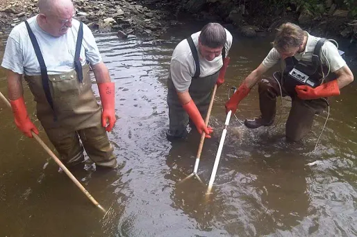 En une demi-heure, les bénévoles ont ramassé entre 1.000 et 2.000 poissons de la rivière asséchée.