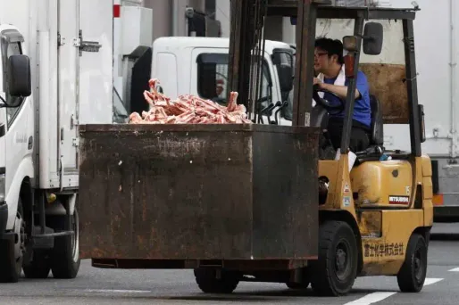 La viande radioactive va être brûlée au Japon