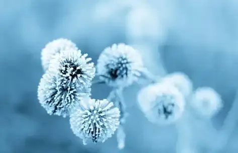 Le chauffage à travers les siècles.