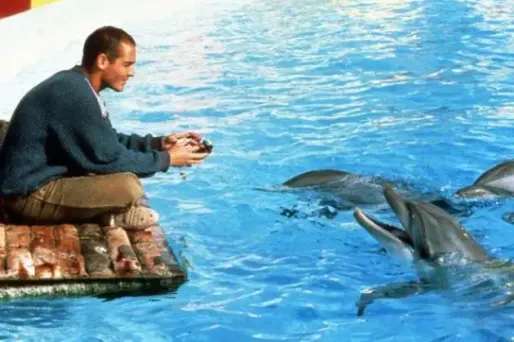 Le dauphin star du Grand Bleu est mort