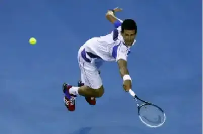 Djokovic domine 2011