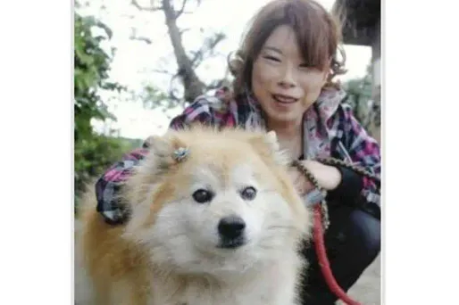 Japon : le plus vieux chien du monde est mort