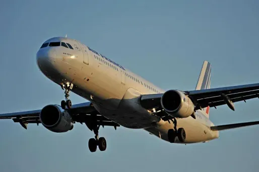 Tous les sites en lice proposent des trajets en avion, train et en voiture