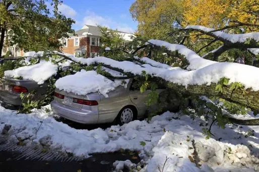 La plupart des 13 personnes tuées dans la tempête de neige ont été victimes d'accidents de la circulation.