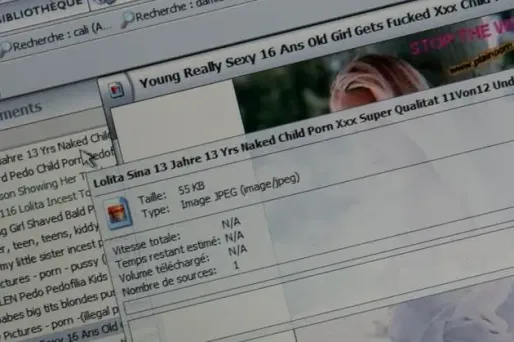 Loppsi 2 s’attaque aux images pédophiles