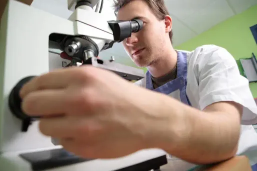 En réalisant une greffe de moelle osseuse issue d'un patient doté d'un ADN hors norme, des chercheurs allemands auraient réussi à éliminer le virus du sida.