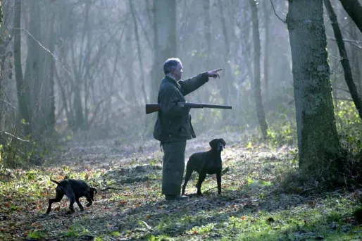 Le chasseur et le garde chasse ne se sont pas compris. Bilan : les médecins leur ont enlevé 32 plombs.