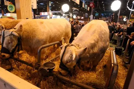 Les paysans attendent des actes