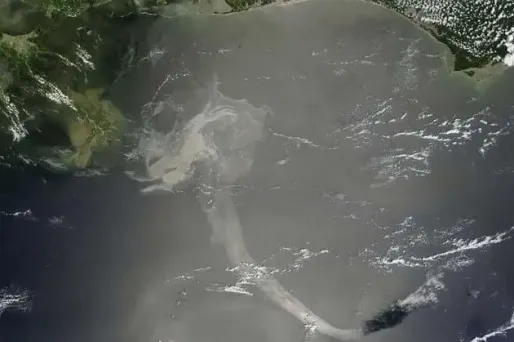 La marée noire menace la Floride