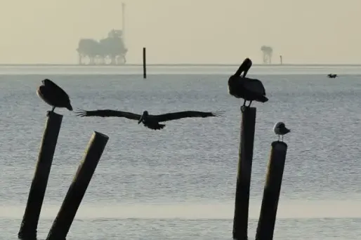 Marée noire : l’une des fuites colmatée