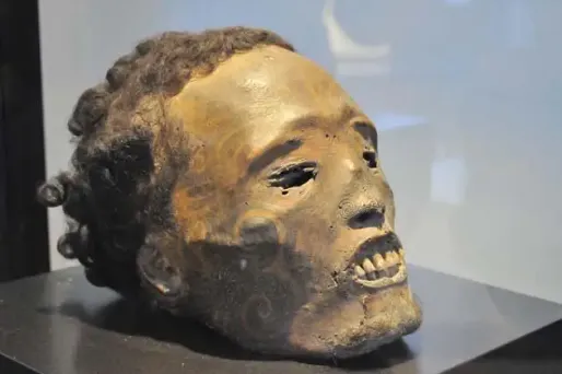 Les têtes maories rentreront chez elles